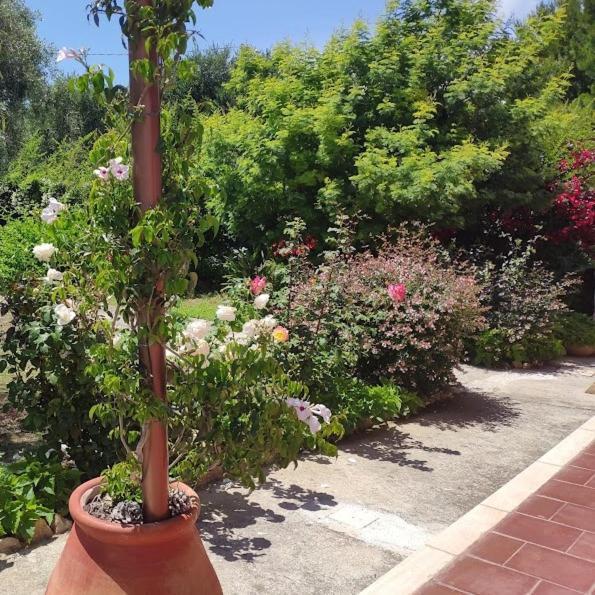 La Casa Di Giada, Appartamento In Villetta Con Aria Condizionata, Wi-Fi E Parcheggio Gratuito Poggi Ngoại thất bức ảnh